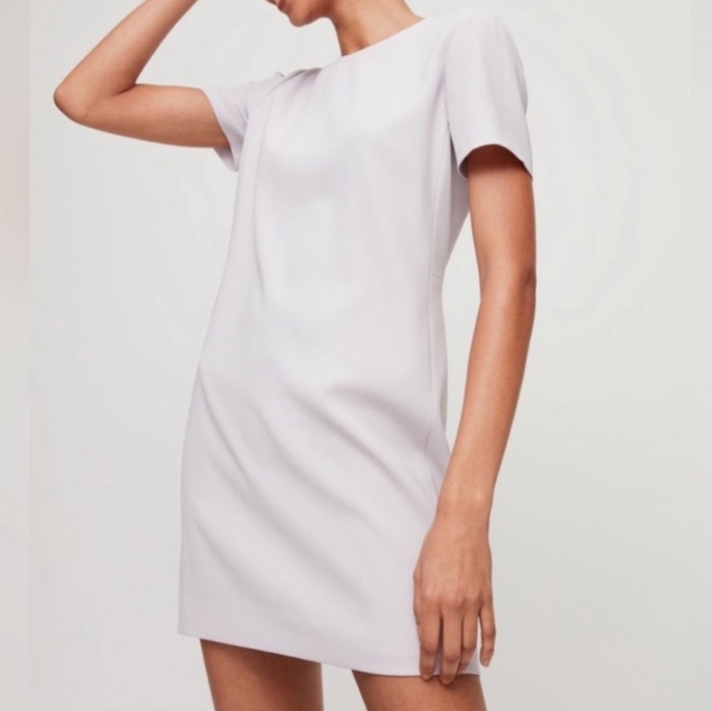 ARITZIA Babaton Patricio Dress Size 6